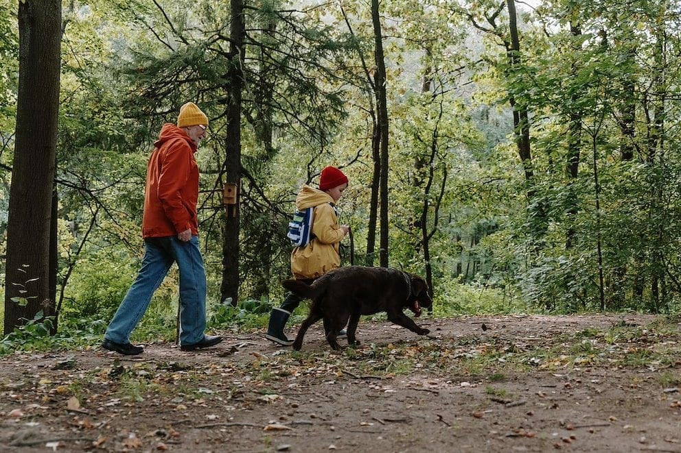 Two people walking in the woods with a dog.