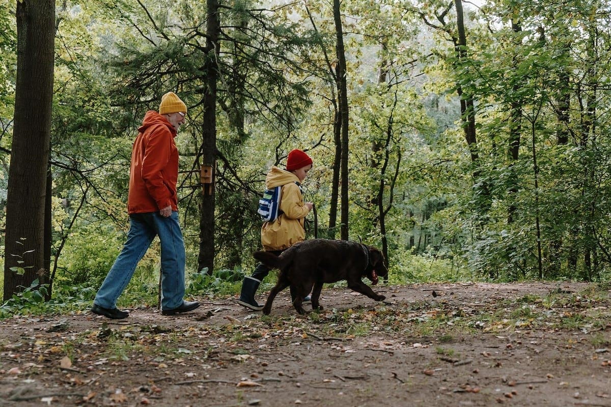 Two people walking in the woods with a dog.